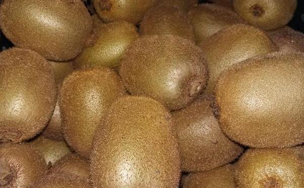Galician Kiwifruit